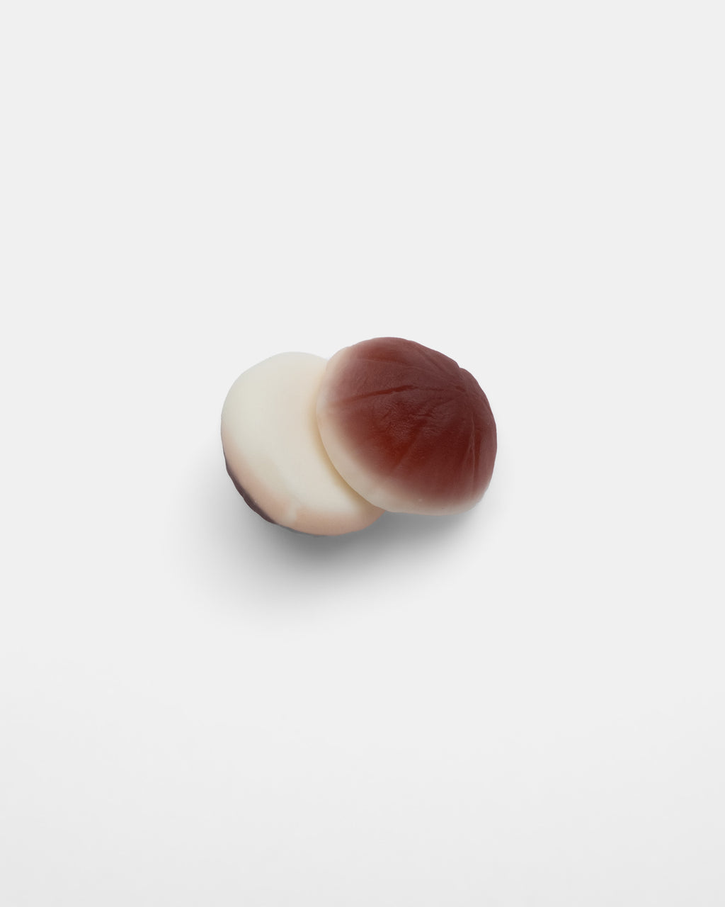 ARECA'S COCONUT SLICES