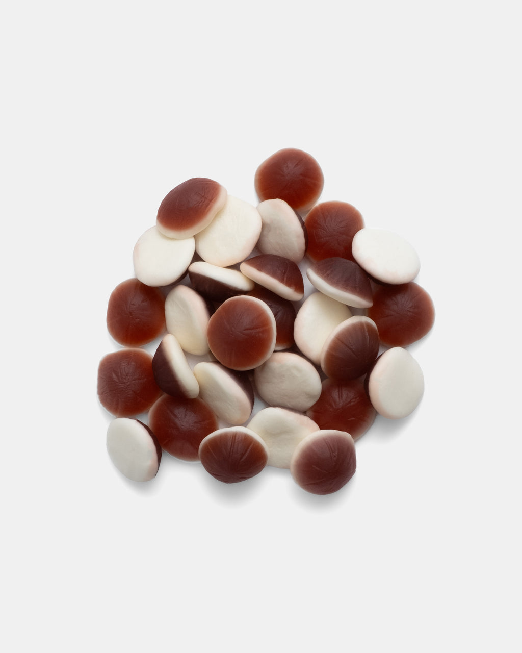 ARECA'S COCONUT SLICES