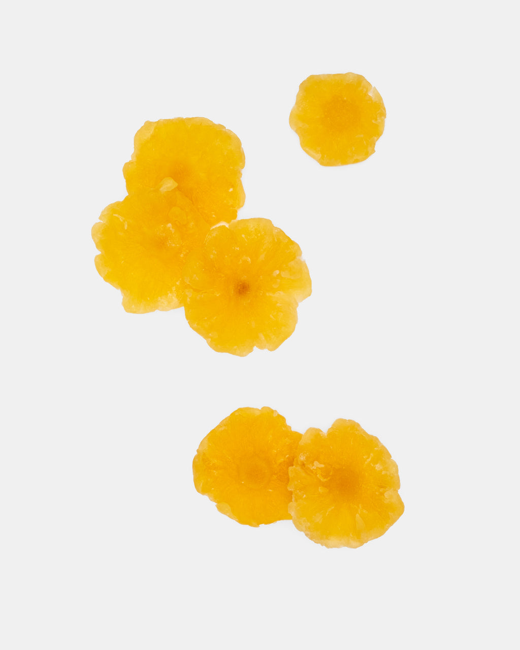 PREMIUM DRIED PINEAPPLE SLICES