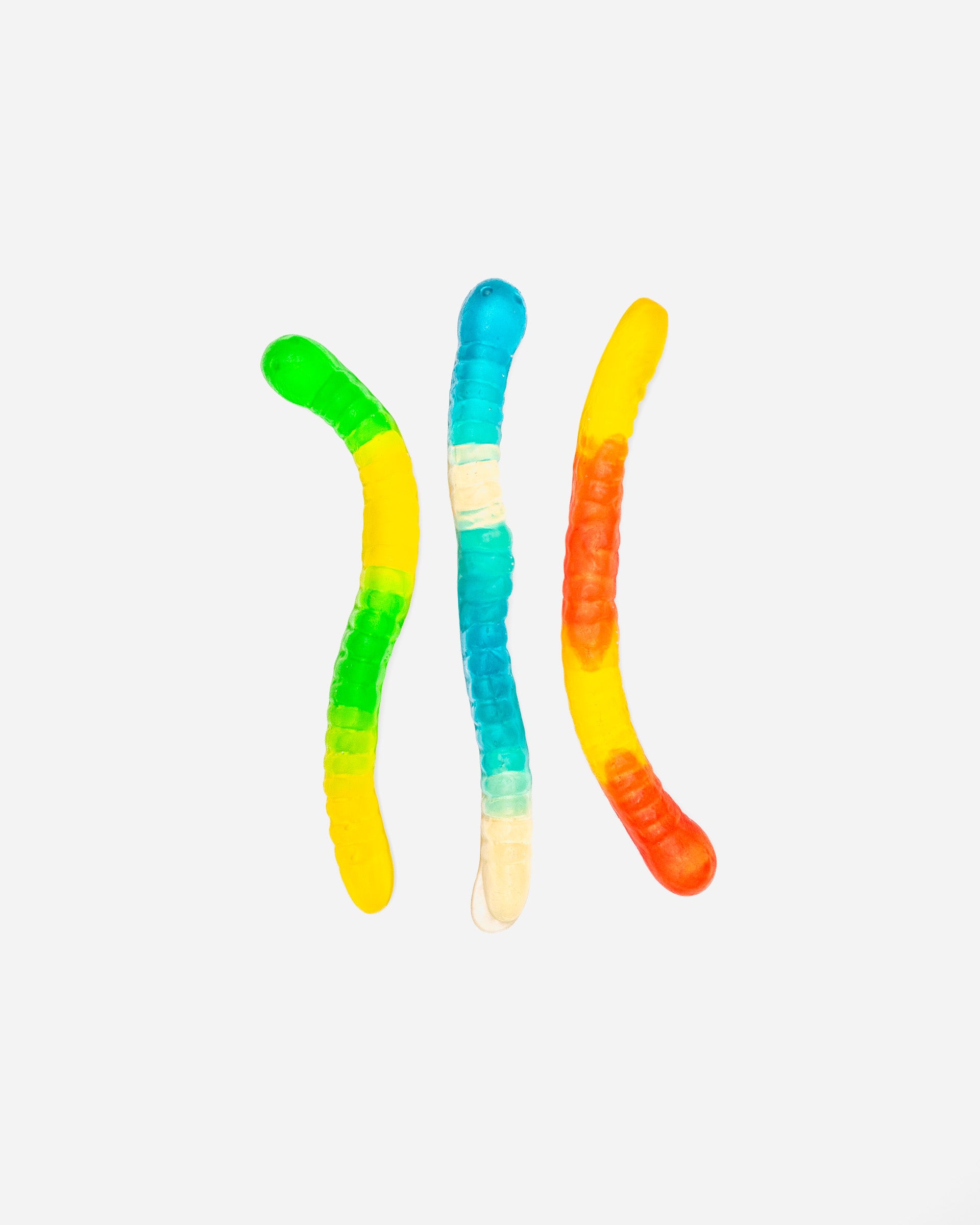 ARECA'S WIGGLY WORMS